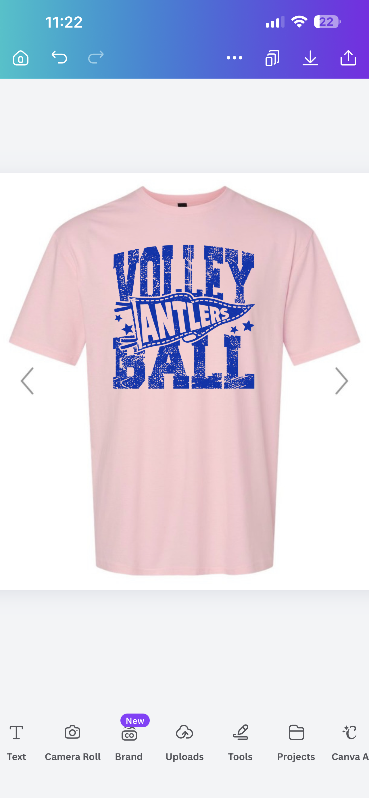 Antlers Pink Out